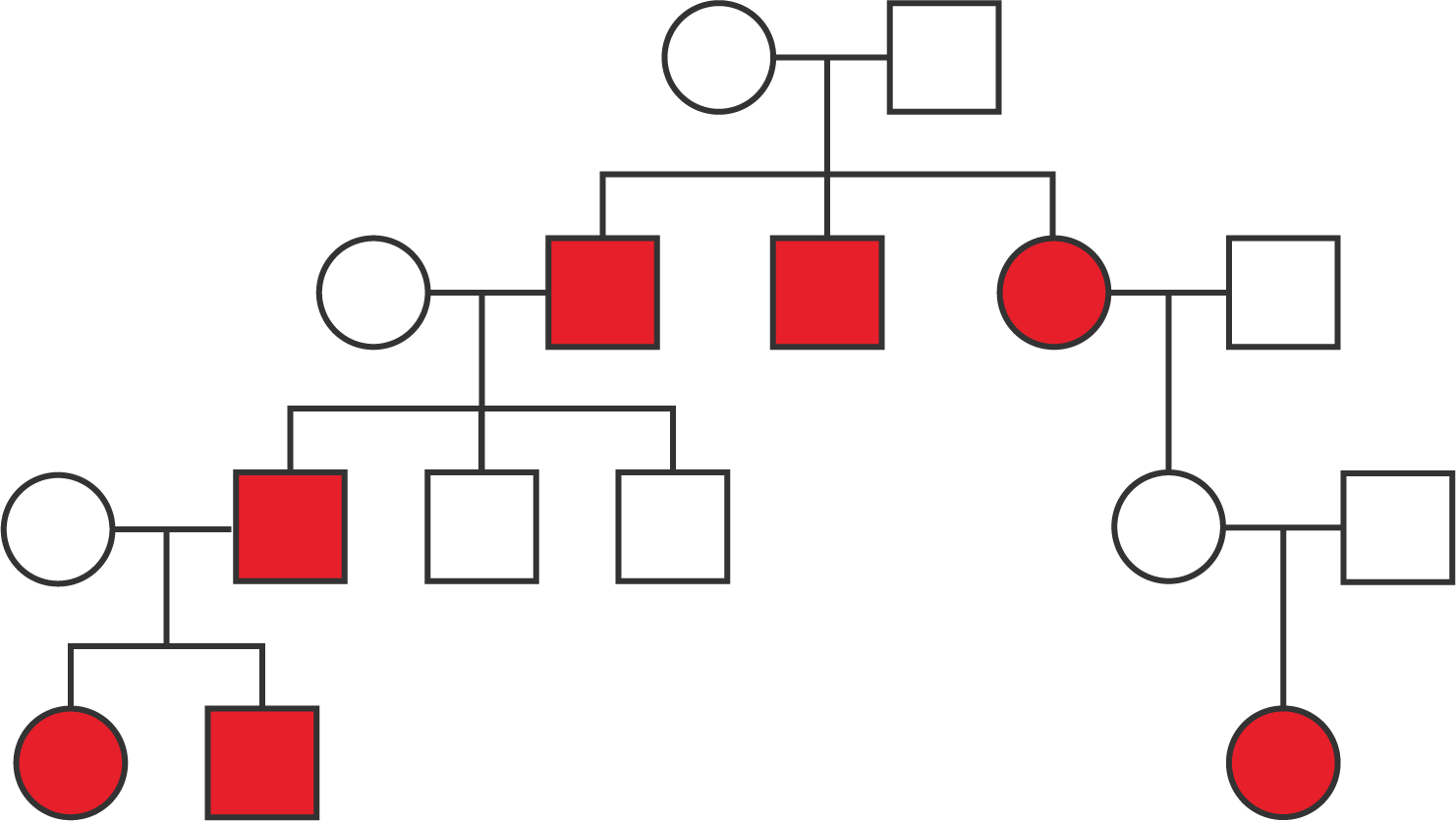 A pedigree with four generations.